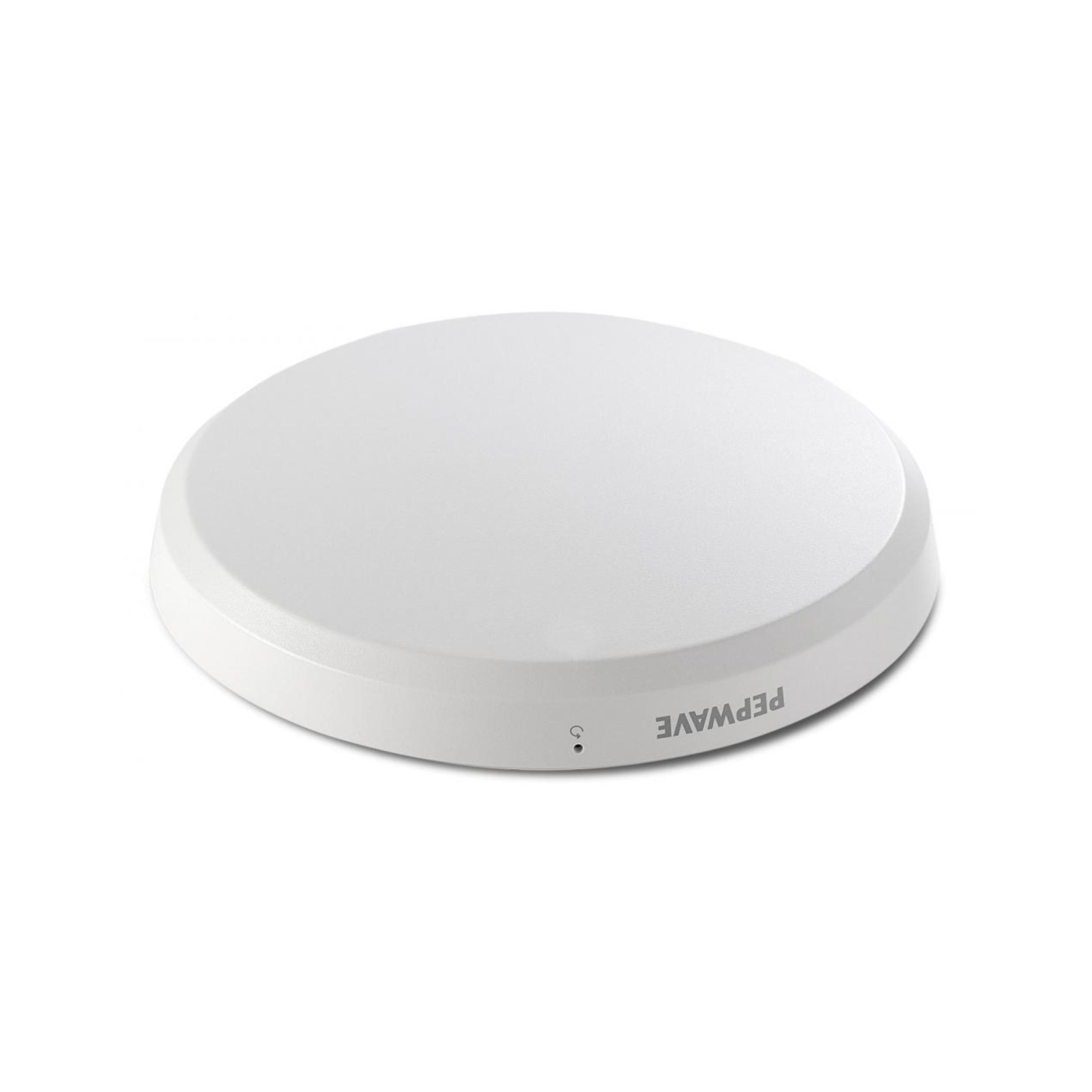 Pepwave AP One Enterprise 2.4/5GHz 802.11ac 450/1300Mbps 3dBi/4dBi